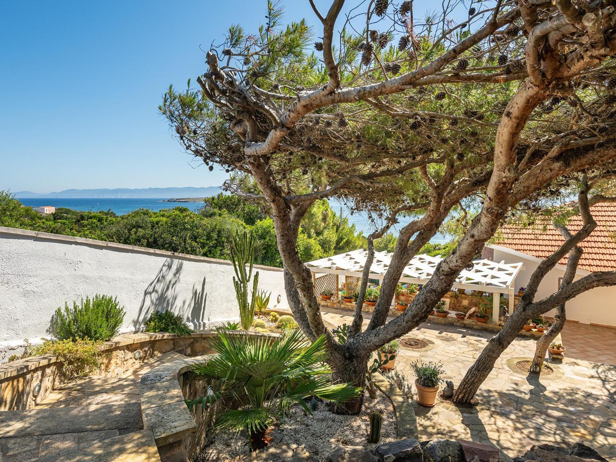 Villa Elicriso Carloforte (Isola di San Pietro) Exterior foto